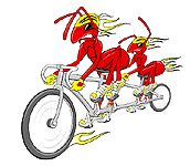 Kenny & Michael - End to End